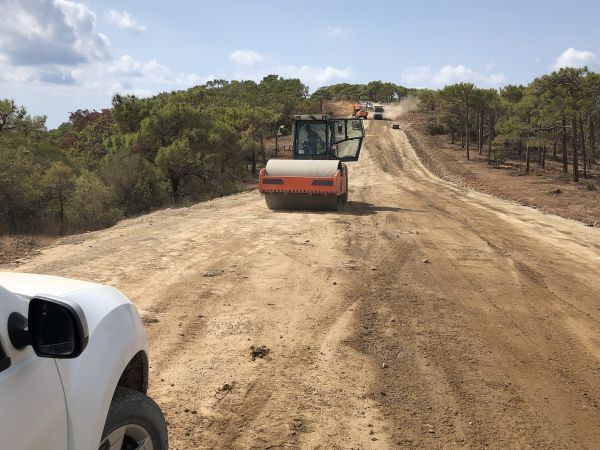 Cost of Driveway Grading in Kennewick