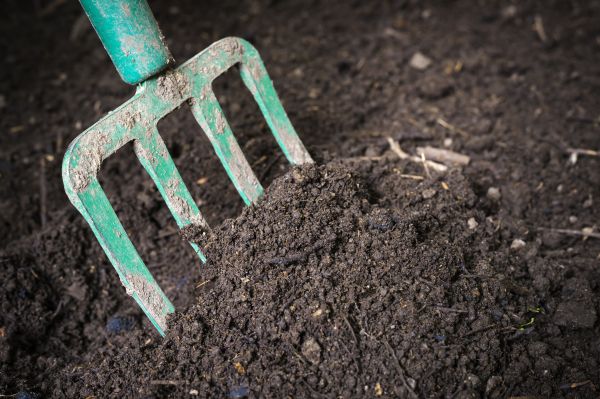 Cost of Topsoil Spreading in Kennewick