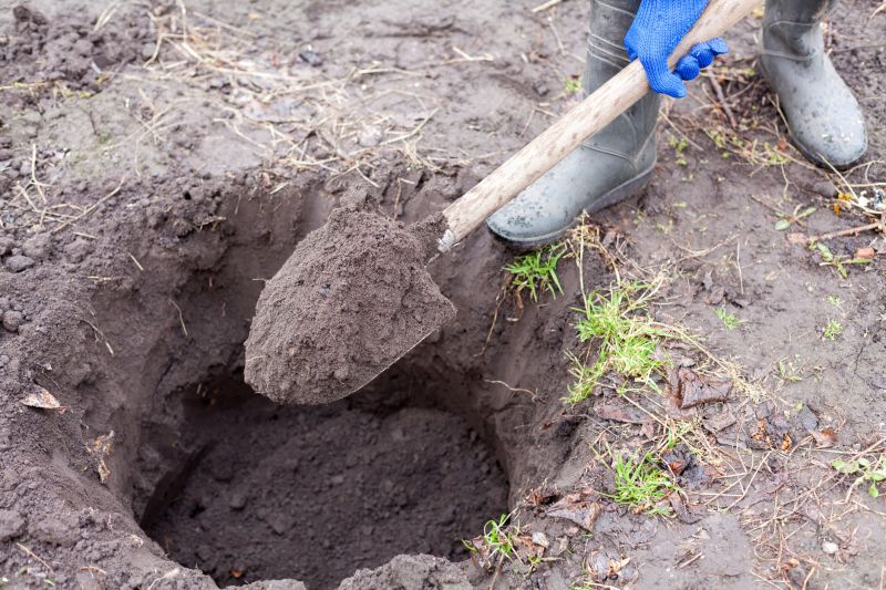 Pond Digging Service